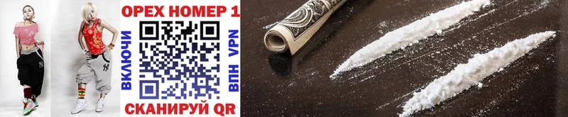 omg tor  Кологрив  COCAIN Эквадор 