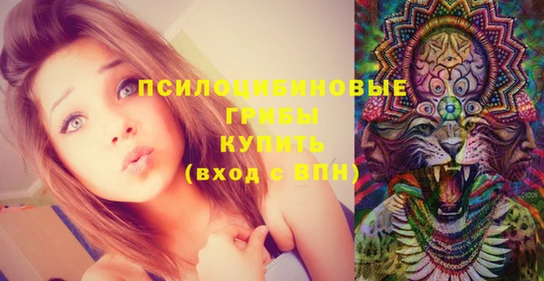 кристаллы Бородино