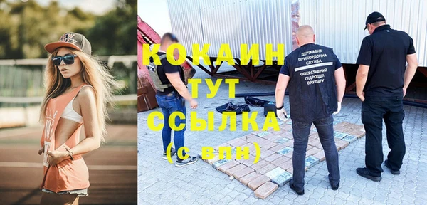 сатива Арсеньев